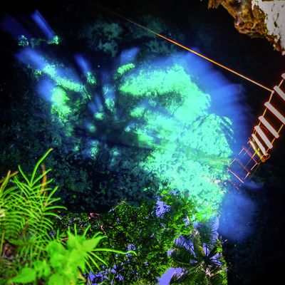 ines-perkovic-d800-coffee-everyday