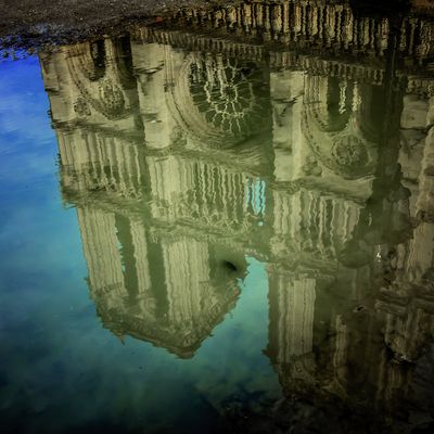 ines-perkovic-d800-coffee-everyday