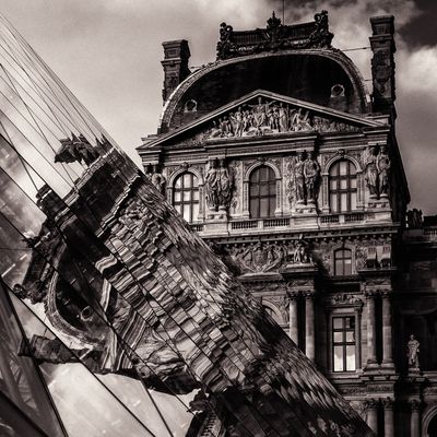 ines-perkovic-d800-coffee-everyday