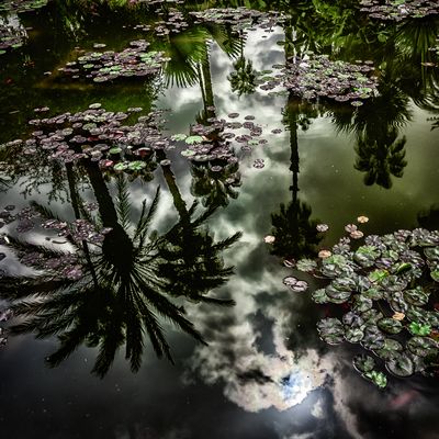 ines-perkovic-d800-coffee-everyday