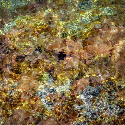 7545427682_430580ab12_b