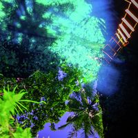 8359138286_1619f8ab99_b