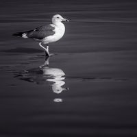 14436106076_a49bcd6a9e_b