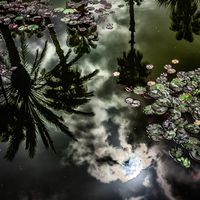 ines-perkovic-d800-coffee-everyday